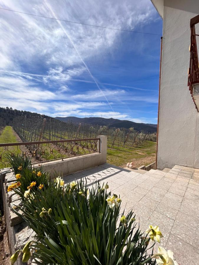 Casa Vicente Villa Lamego Ngoại thất bức ảnh