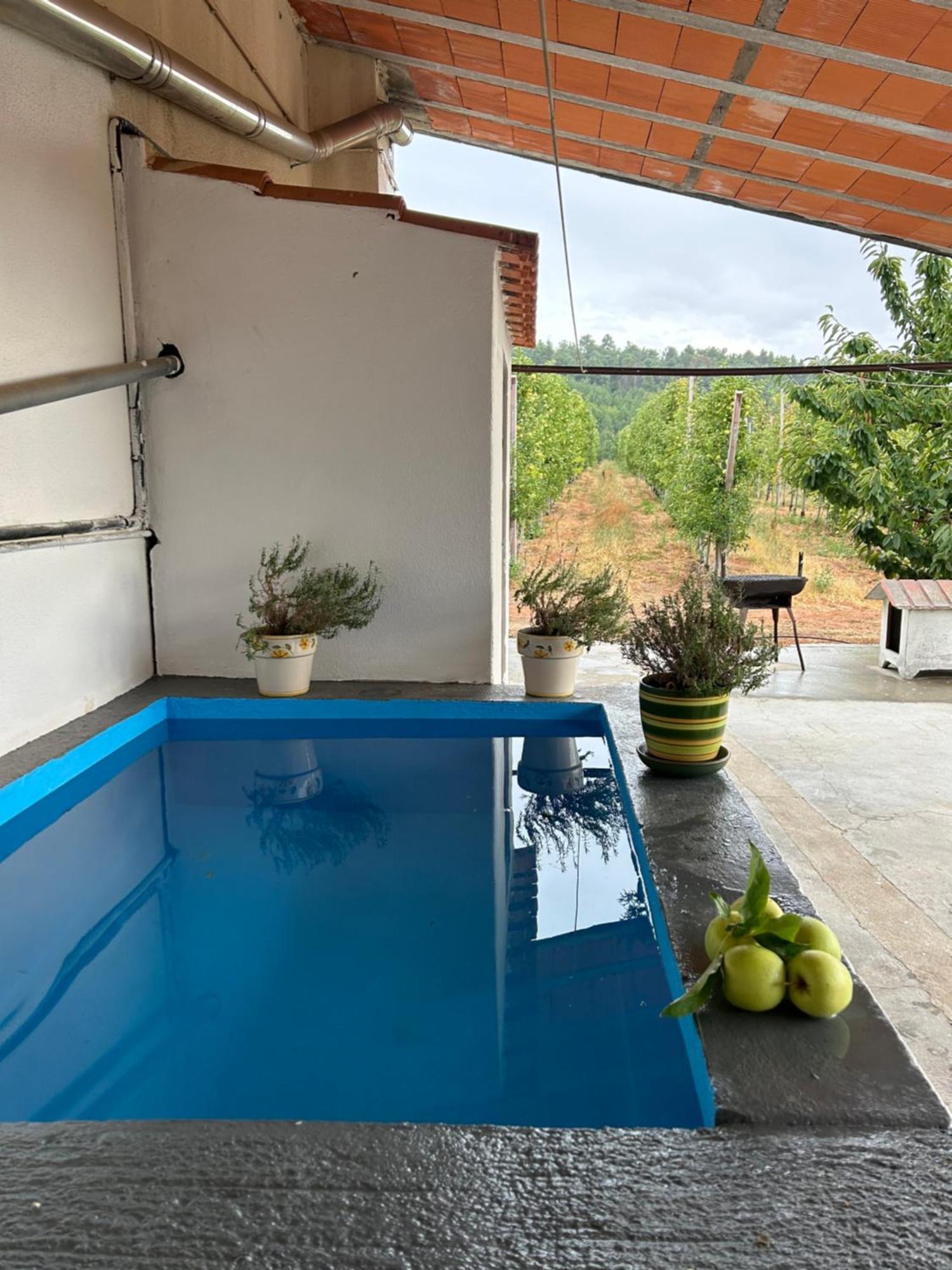 Casa Vicente Villa Lamego Ngoại thất bức ảnh