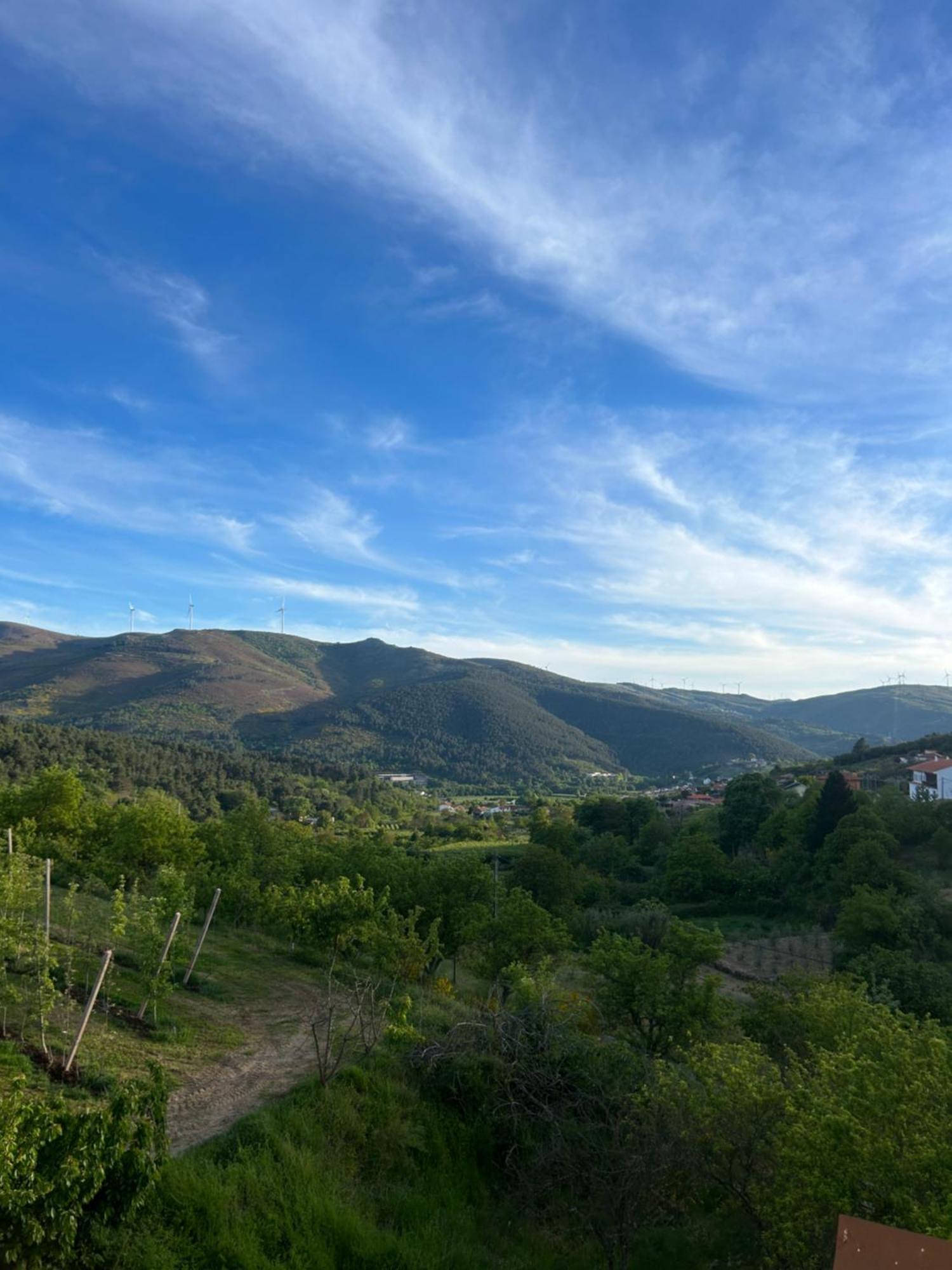 Casa Vicente Villa Lamego Ngoại thất bức ảnh