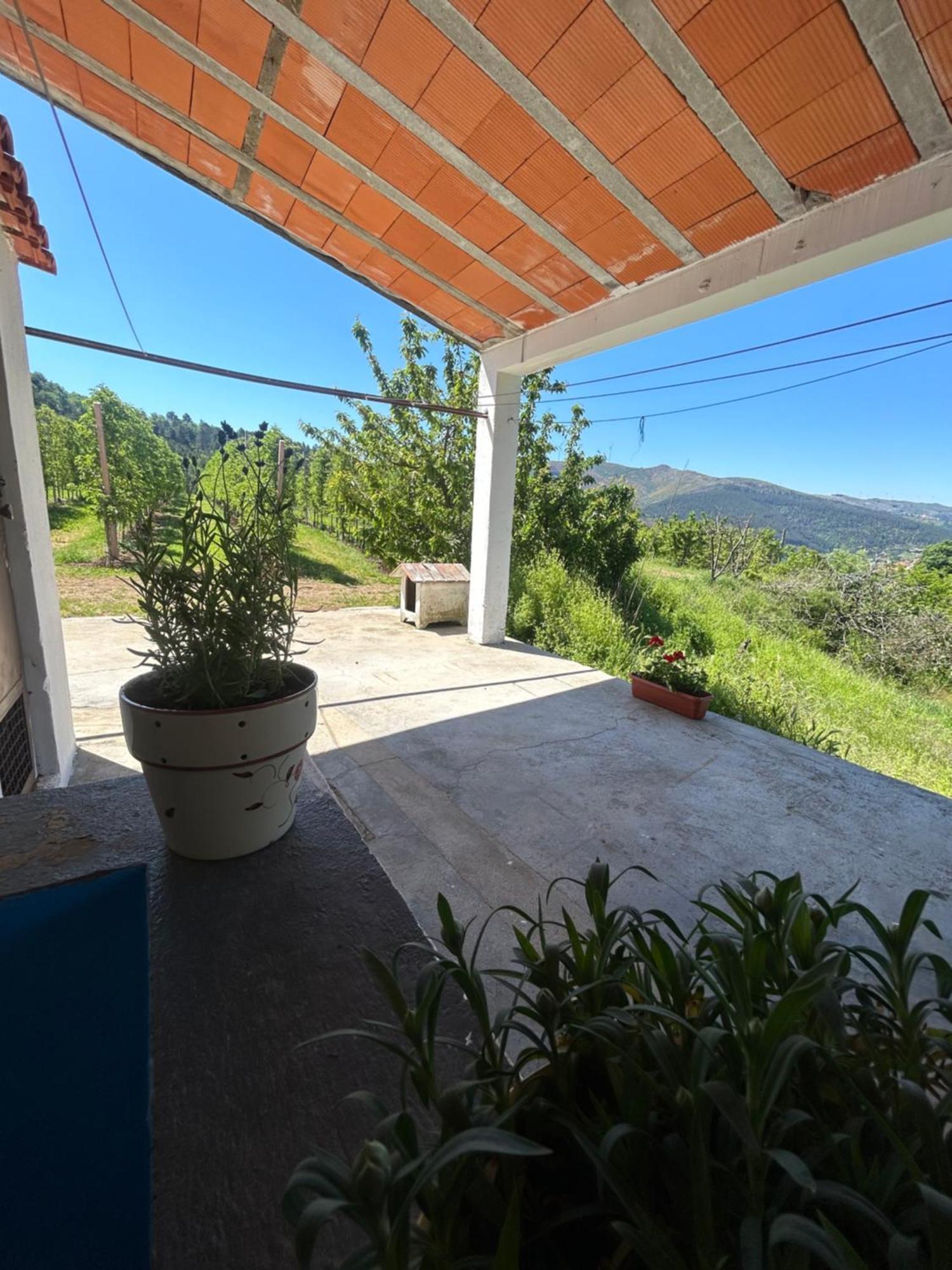 Casa Vicente Villa Lamego Ngoại thất bức ảnh