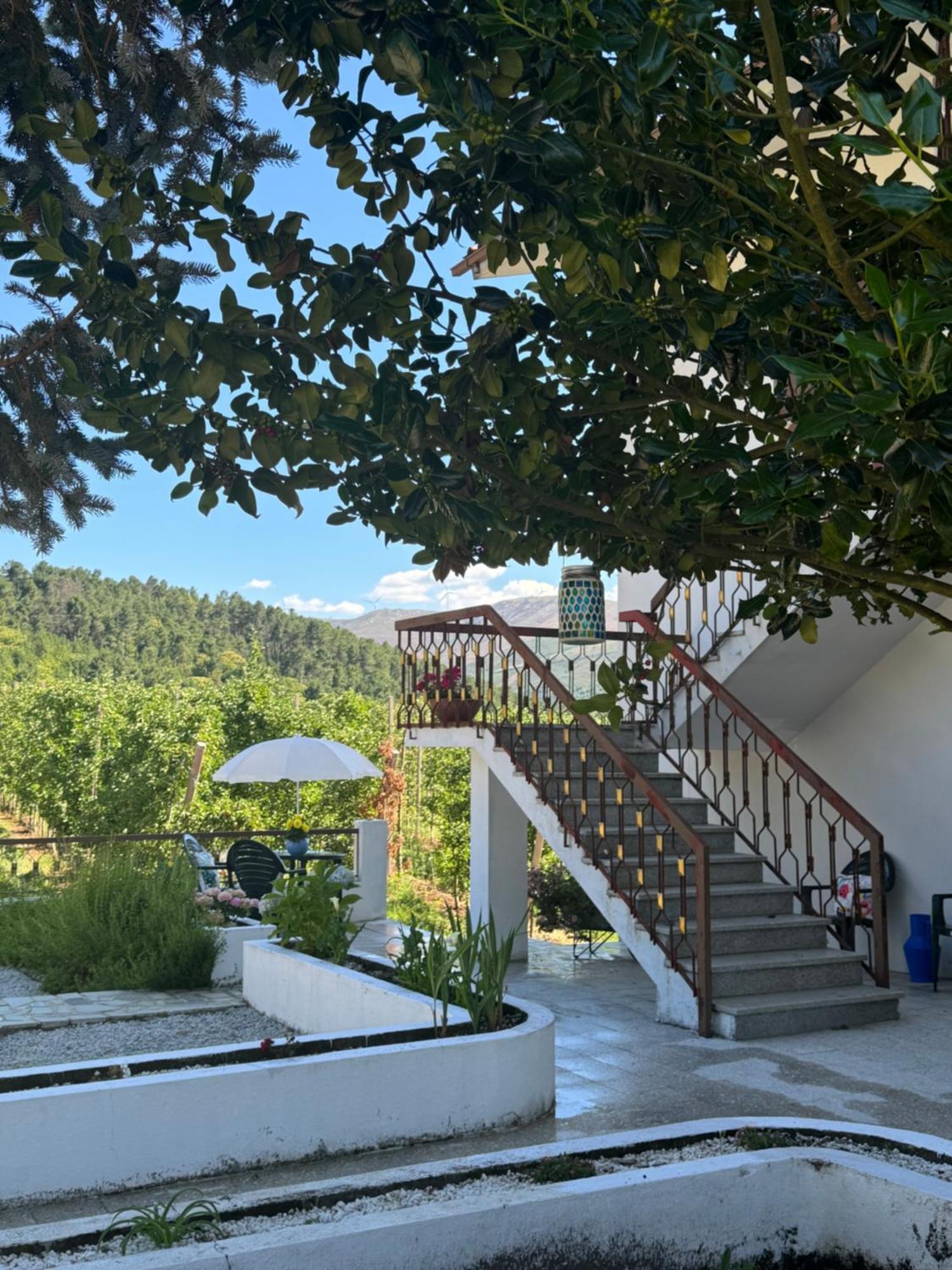 Casa Vicente Villa Lamego Ngoại thất bức ảnh