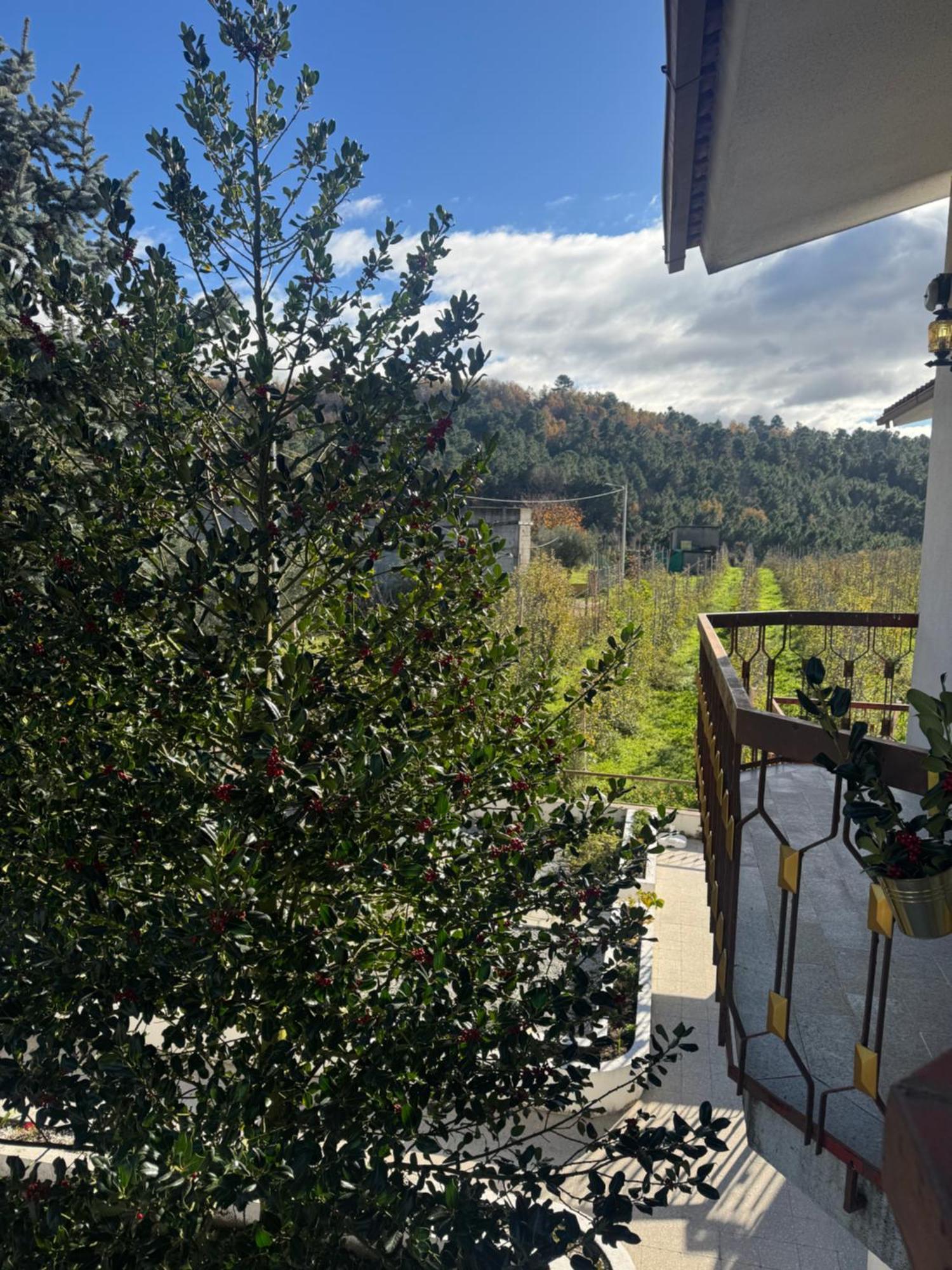 Casa Vicente Villa Lamego Ngoại thất bức ảnh